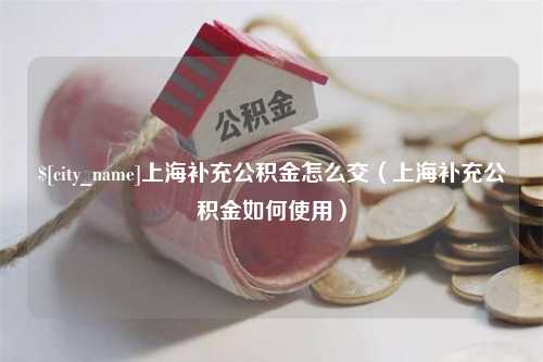 灯塔上海补充公积金怎么交（上海补充公积金如何使用）